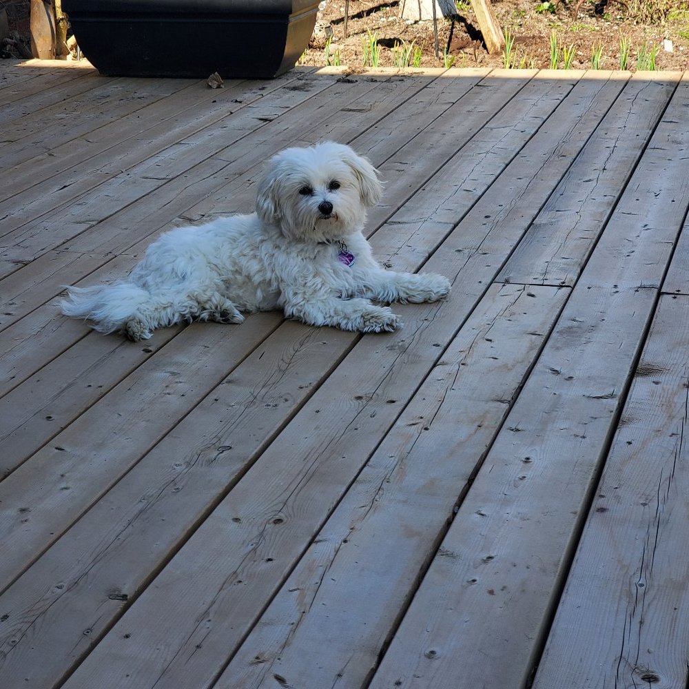 Meet your Posher, Andrea